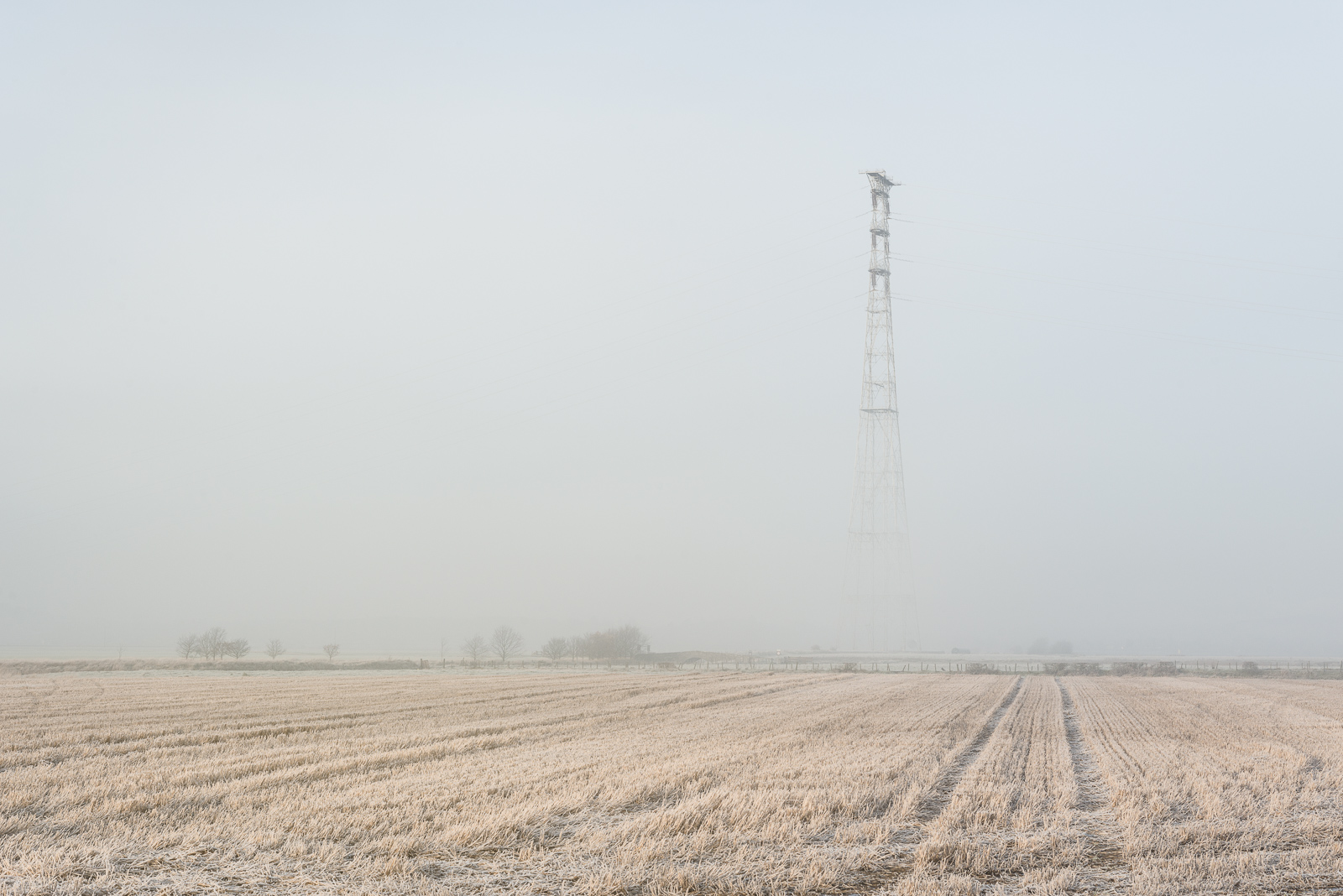Pylons-1.jpg
