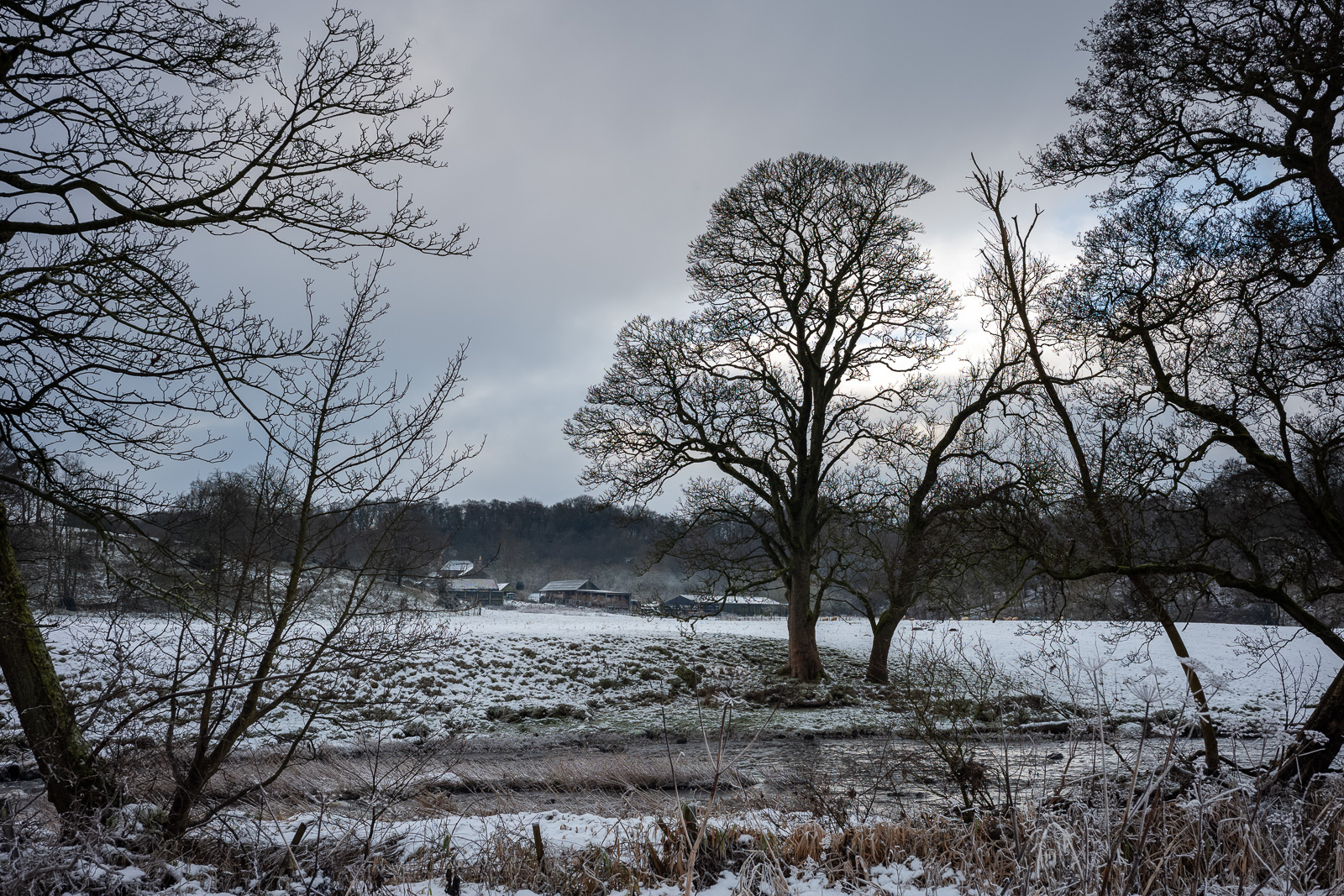 L1003404.jpg